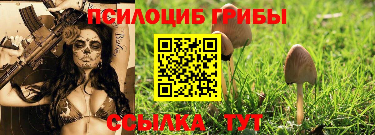 Галлюциногенные грибы GOLDEN TEACHER Минусинск