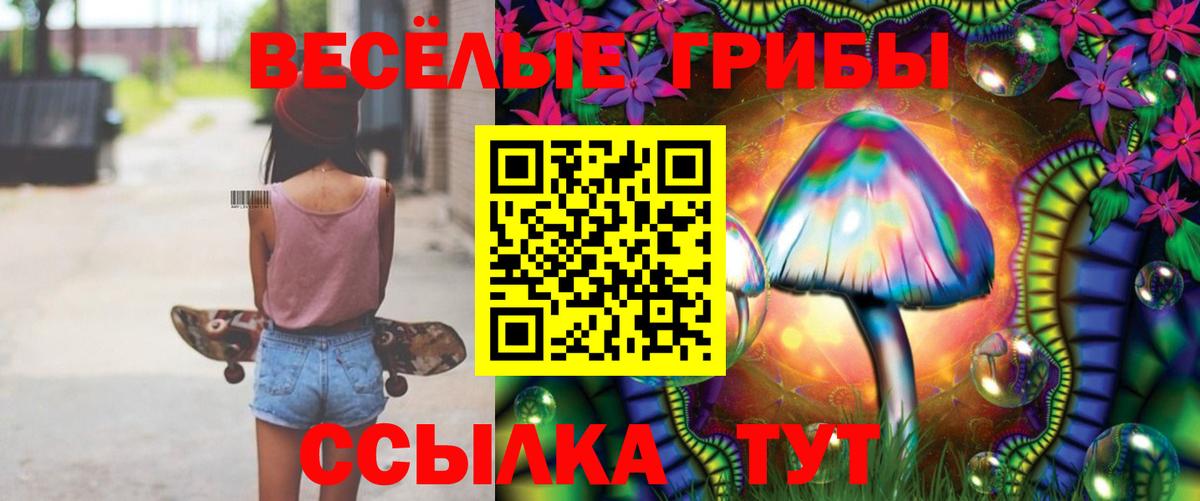 Галлюциногенные грибы GOLDEN TEACHER  Вход с VPN  Минусинск  Галлюциногенные грибы ЛСД 